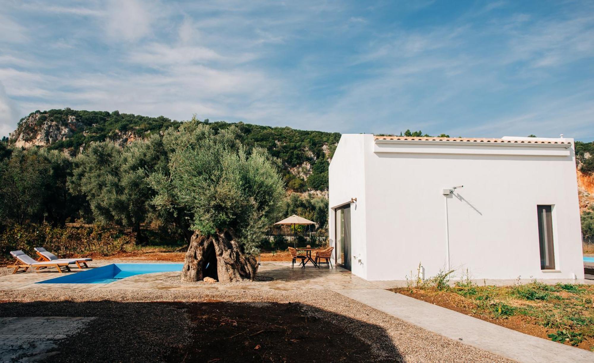 Villa Di Vino Apolpaina Екстериор снимка